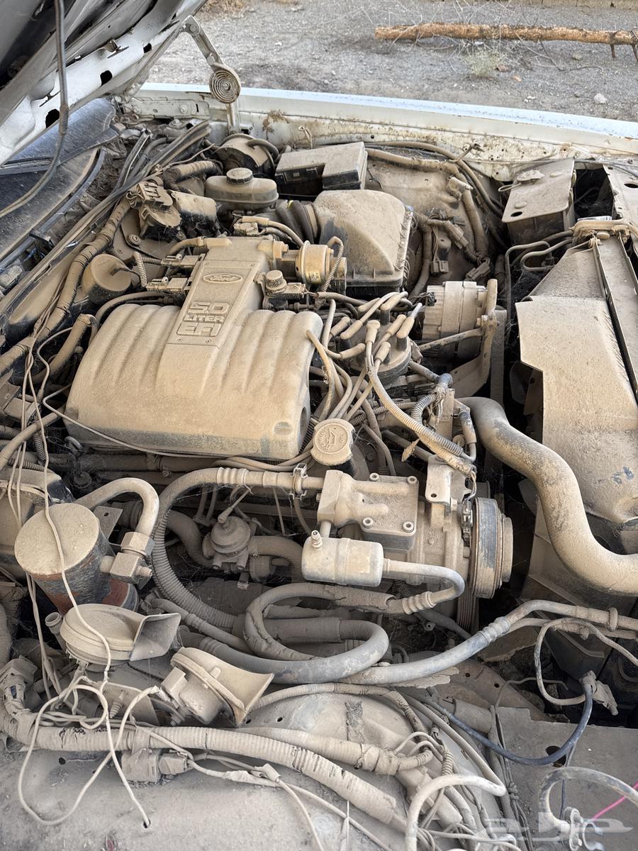 Old Ford Scrap64253244075649113