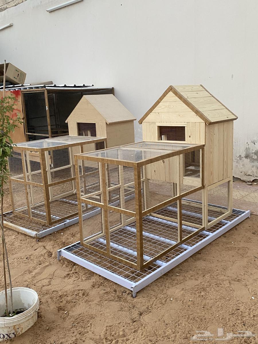 Chicken Coops with Amazing Design63618955254530111