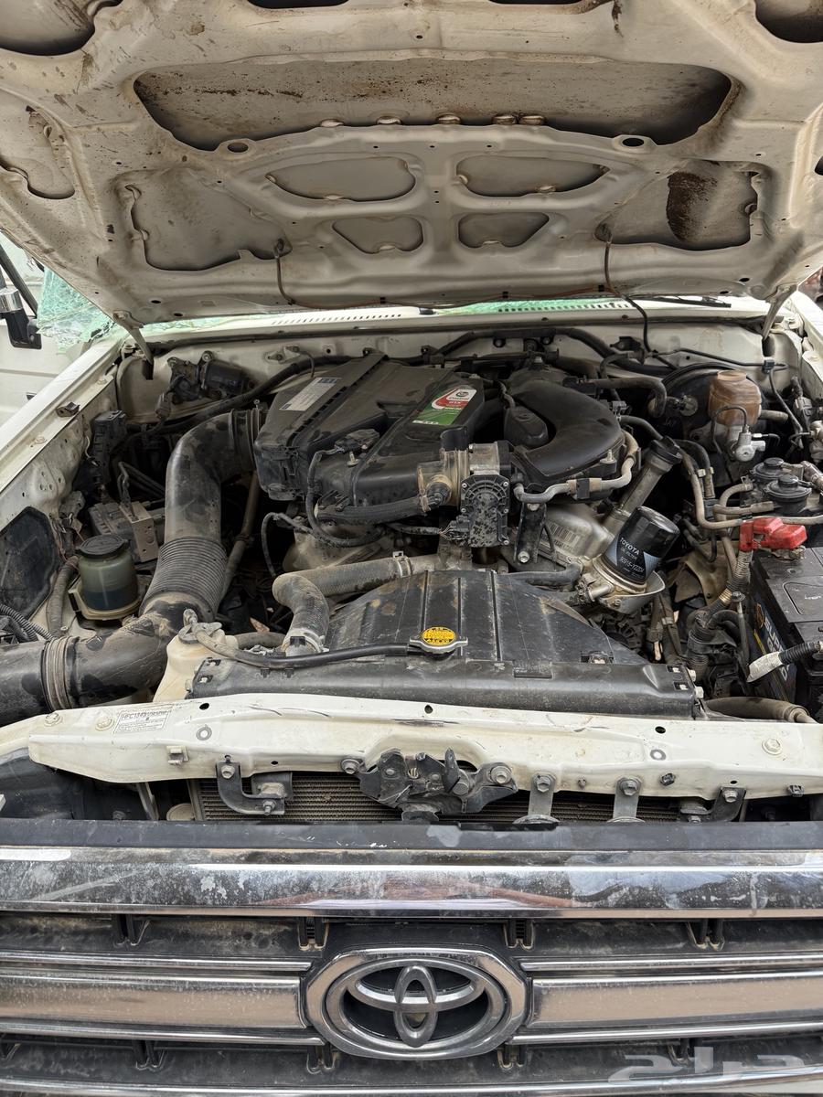 جيب ربع 2013 مسقط64245910828674110