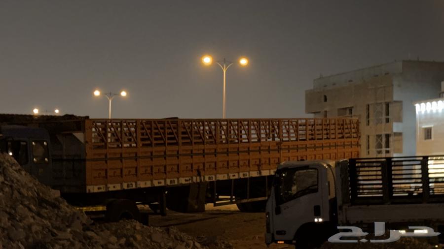 Trailer journey with German sides, Lori Dania Al Saud within the region64242960962819111