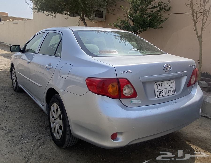 كوريلا 2010 نص فل64238990690433112