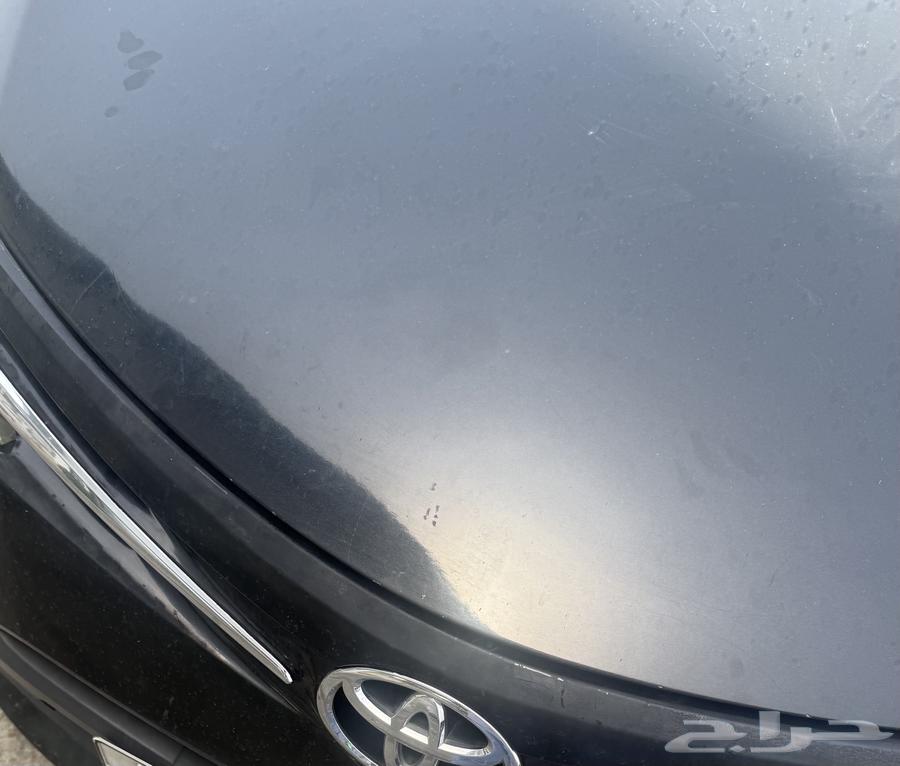 يارس من 2013 ال ال201764232448537729110