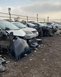 Experienced dismantling agent with high expertise in dismantling64241699276162111