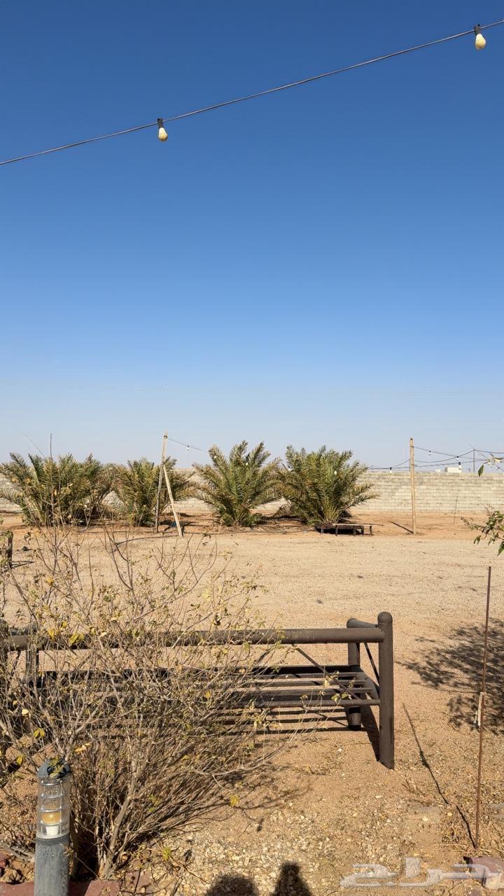 Al-Qassim Al-Gharain Rest House for Sale Area 250063612669201921114