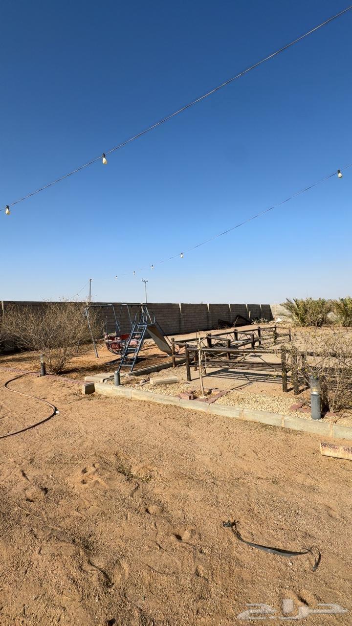Al-Qassim Al-Gharain Rest House for Sale Area 250063612669201921111
