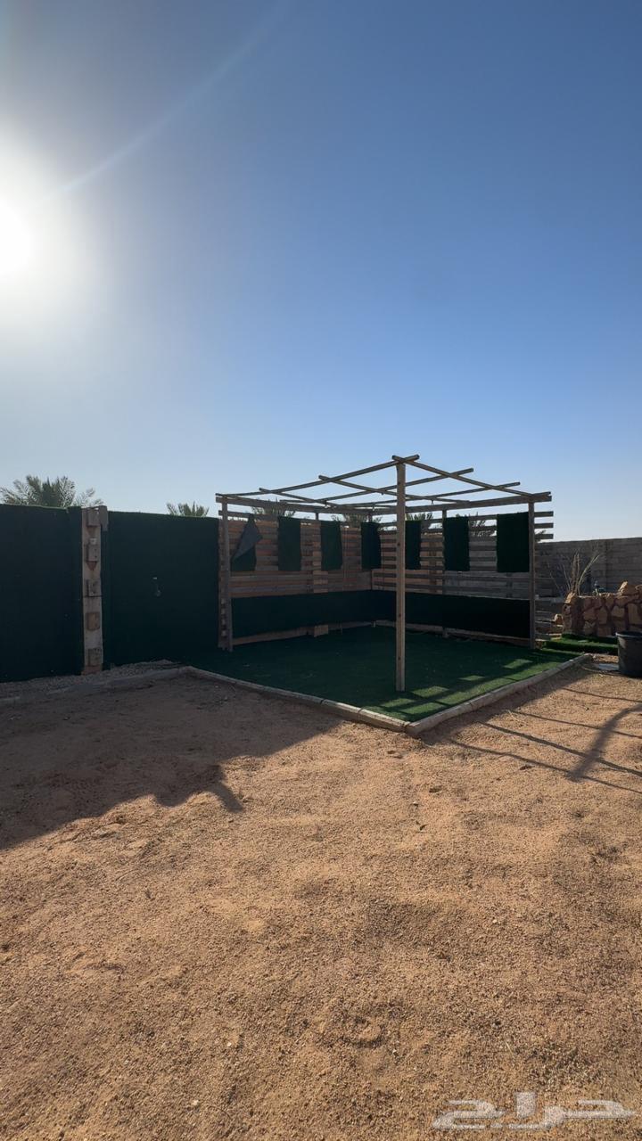 Al-Qassim Al-Gharain Rest House for Sale Area 250063612669201921112