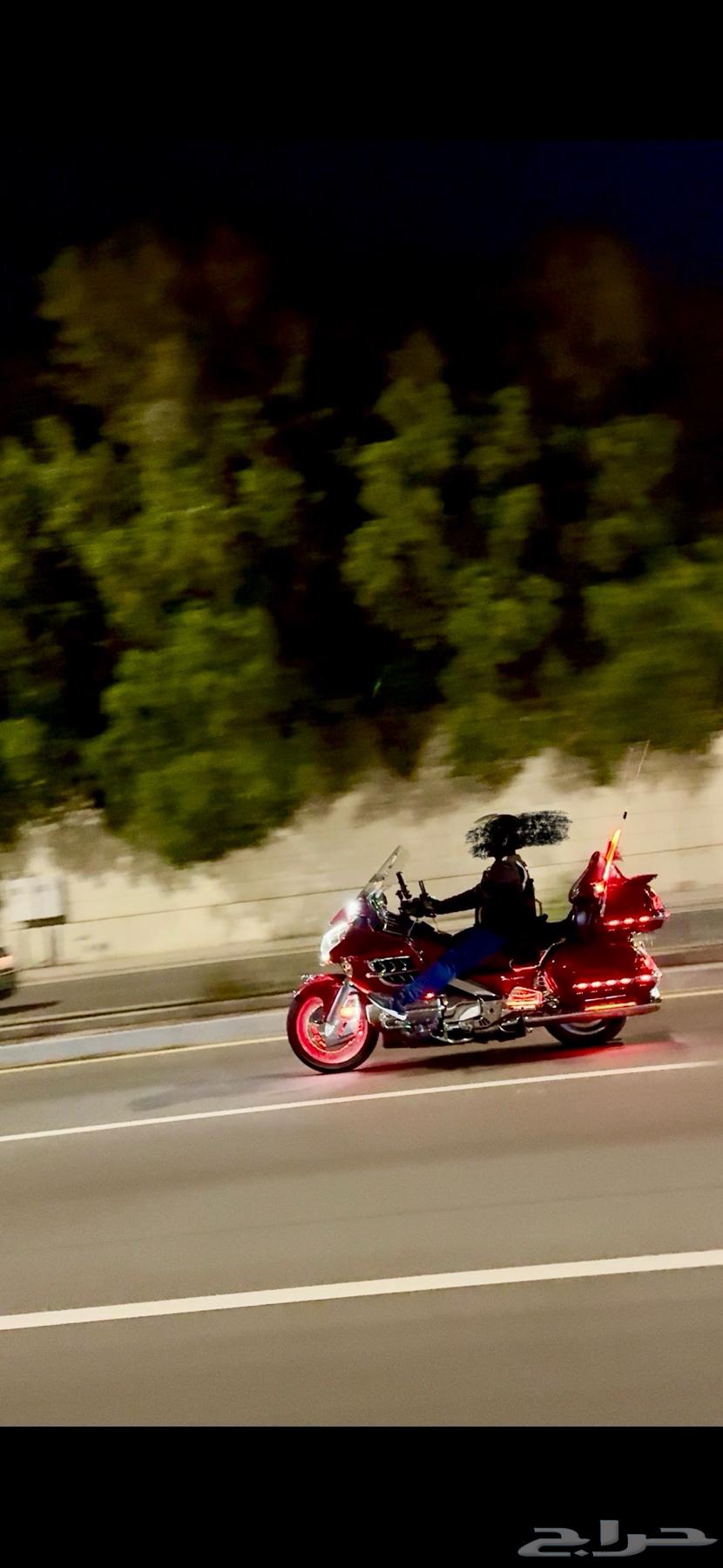 قولد وينق 2003 لفل 2 فل اكسسورات64255784973314114