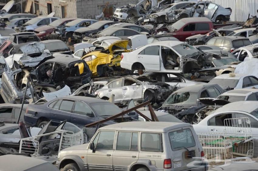 Experienced dismantling agent with high expertise in dismantling64241699276162112