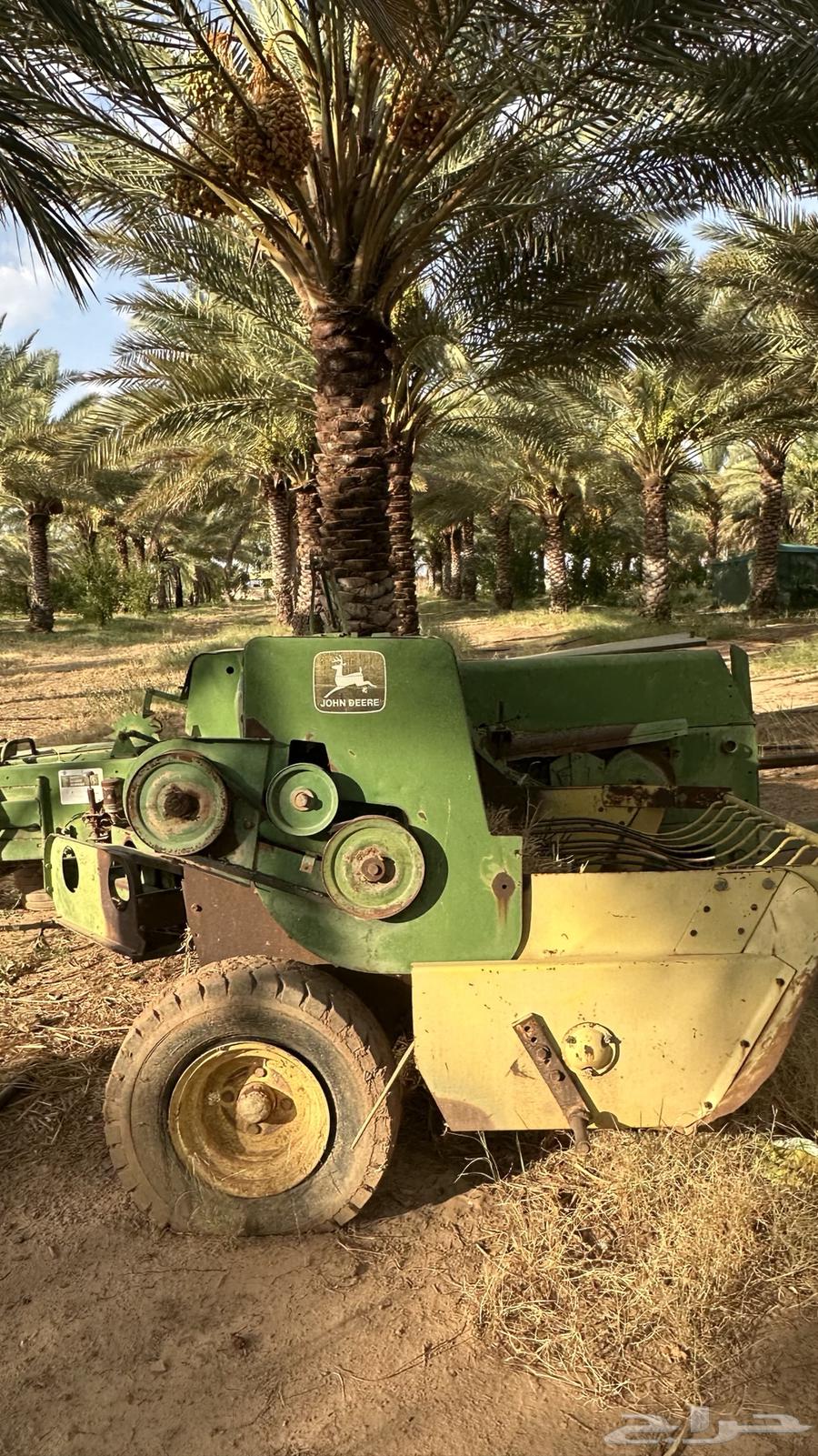 لبانه جوندير64272087291907112