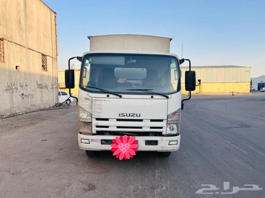 دينا سوزو64262307883393110