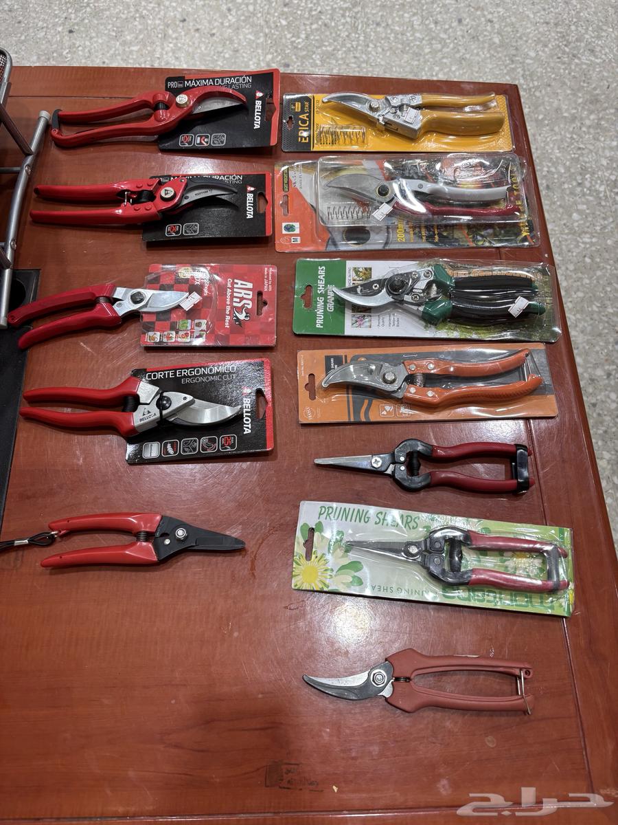 منشار نخيل مقص تقليم خراشة64261963016193110