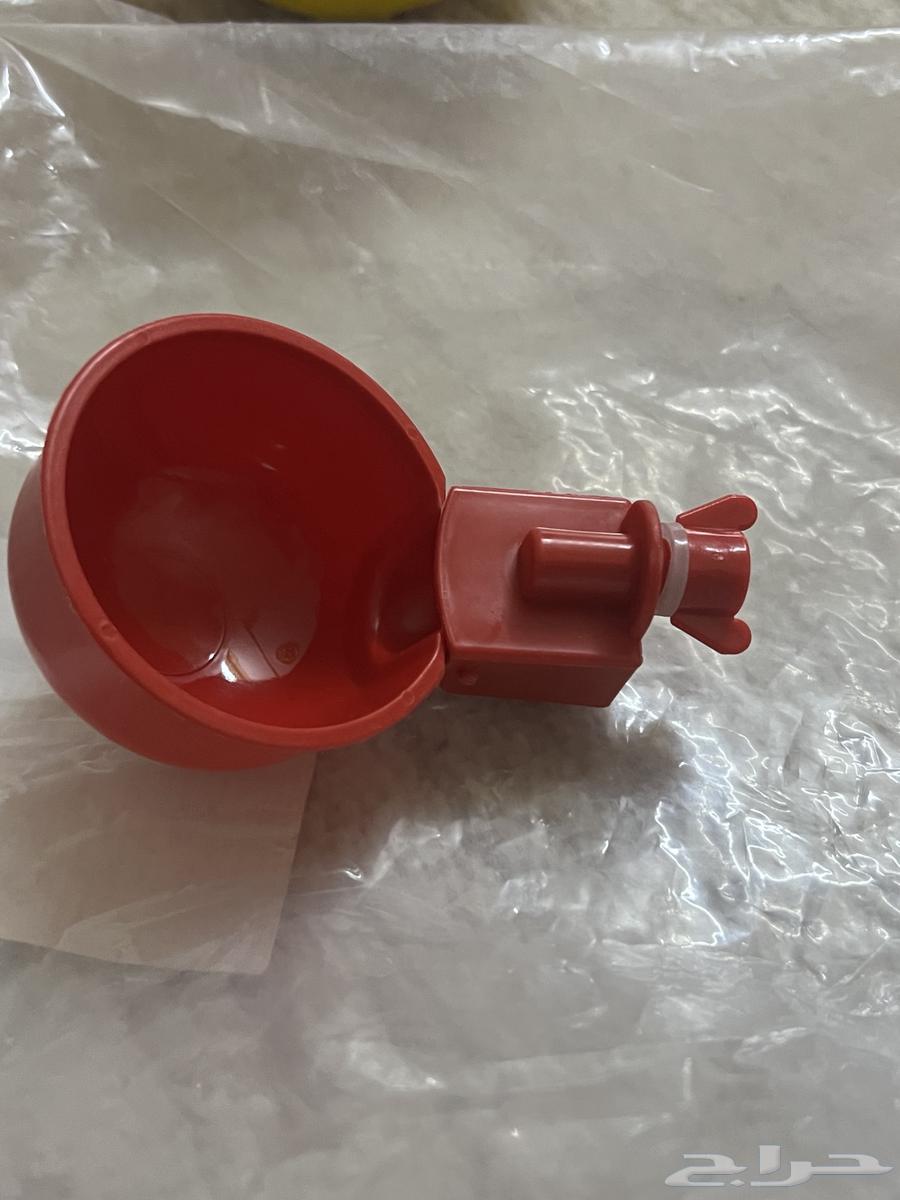 Bird feeders TikTok without electricity63993879252097110