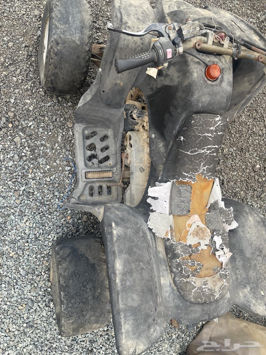 دباب للبيع64265103645825110