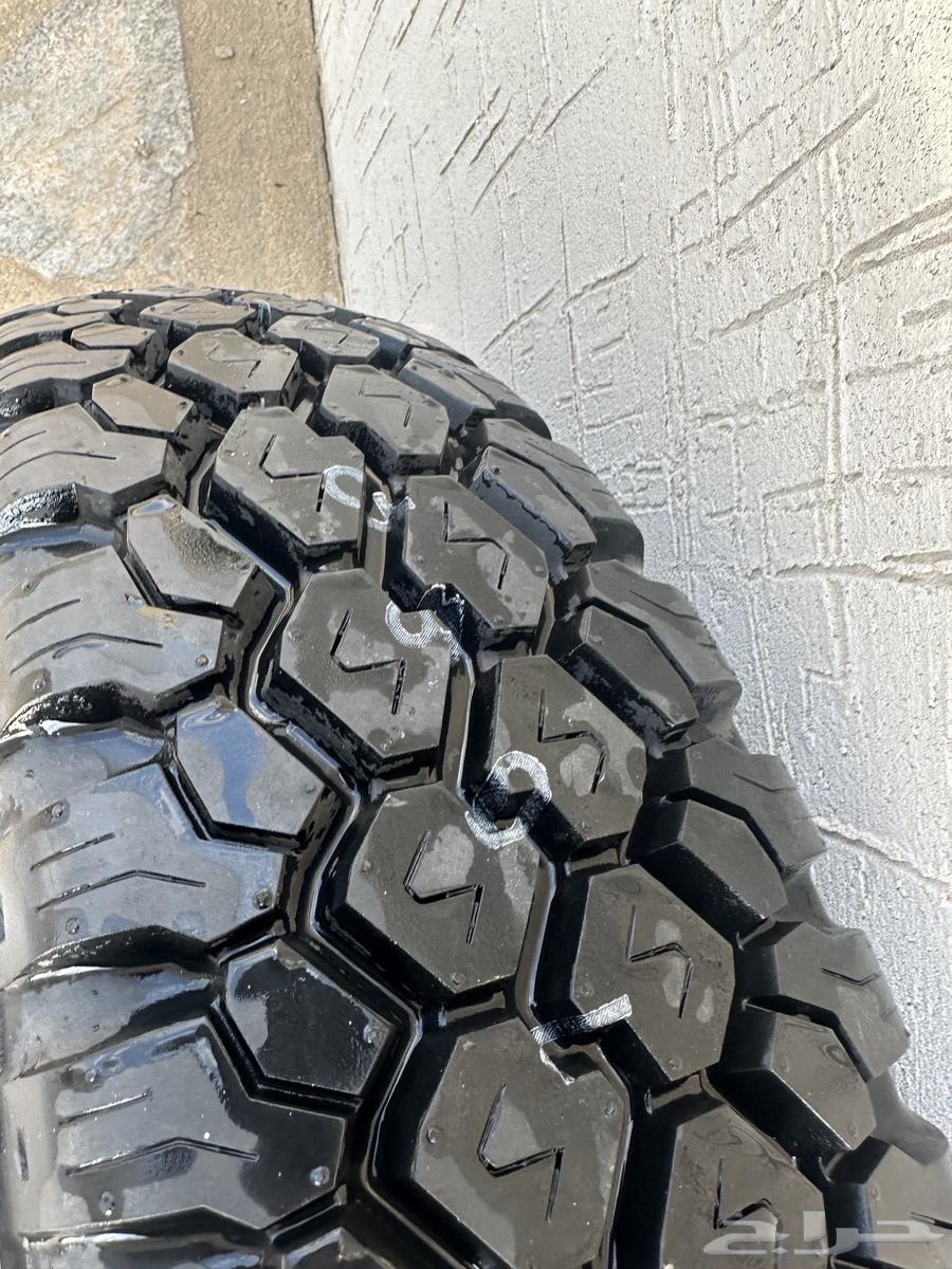 اسبير هدد 2015 وكاله64266250929922114