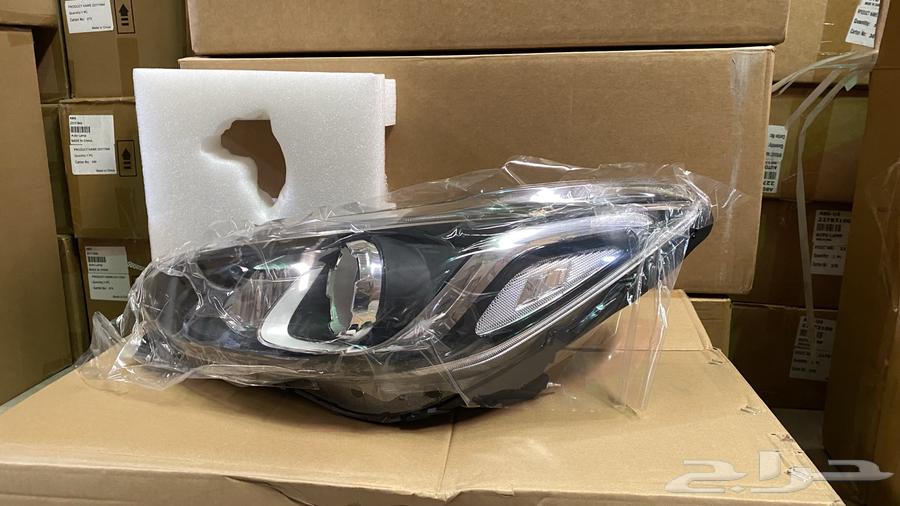 Spark 2018 Bulb64271887138689113