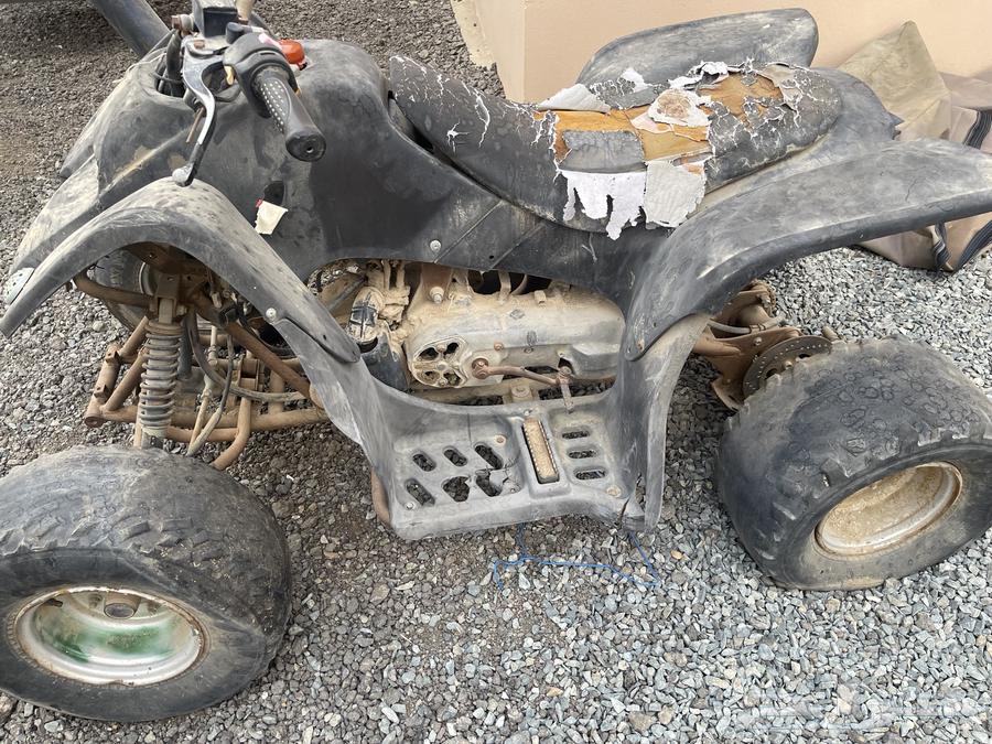 دباب للبيع64265103645825113