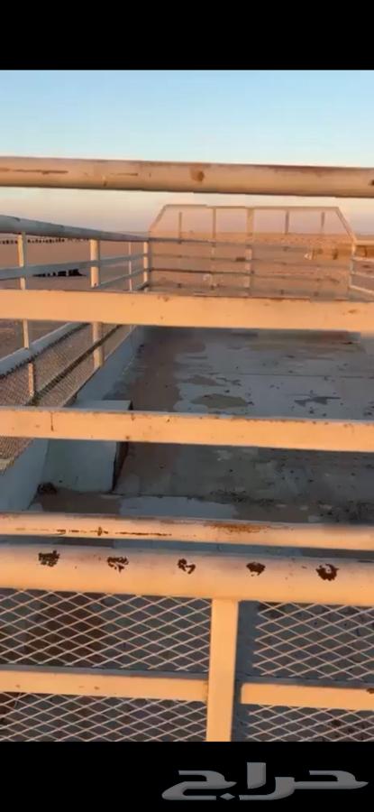 قلص نظيف للبيع64269684156801110