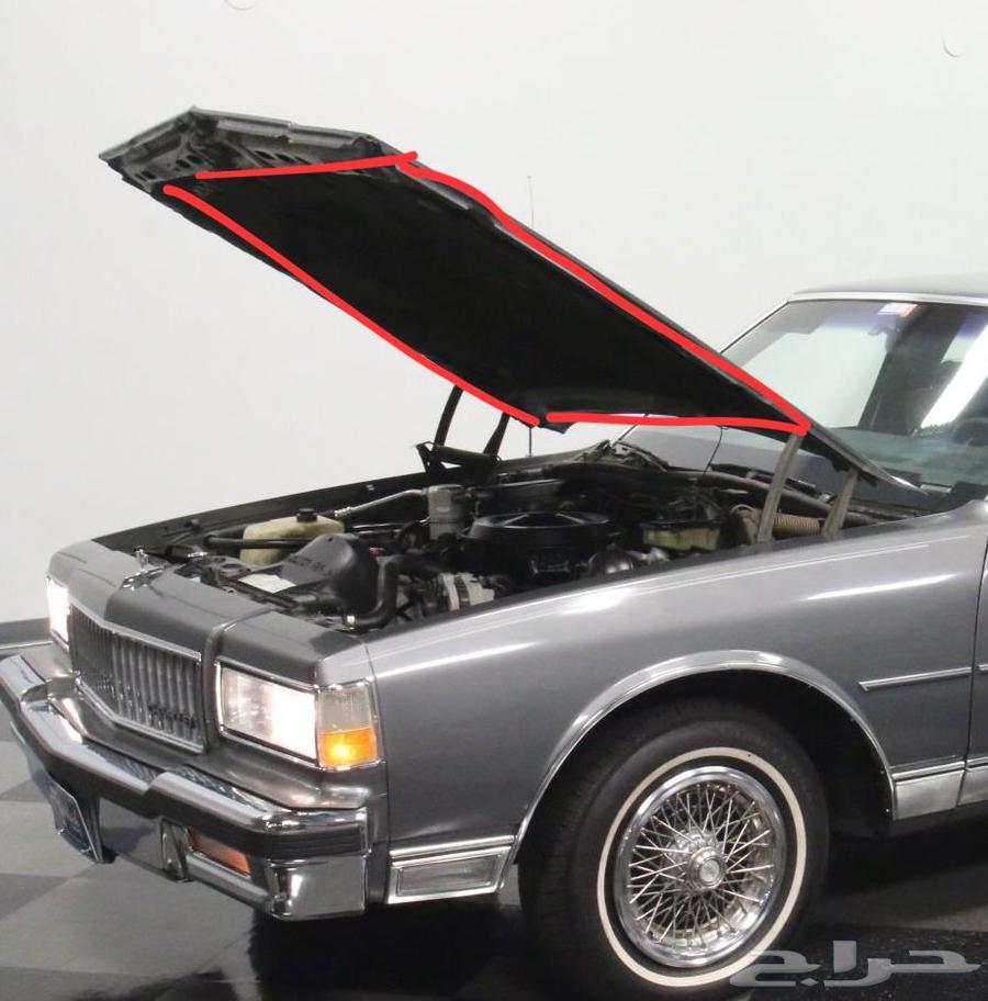 لباد كبوت64261983556355110