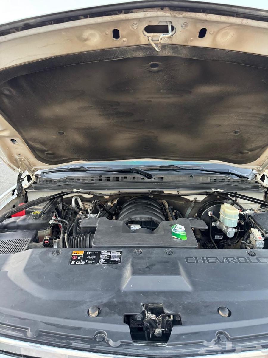 Tahou 202064272289246594114