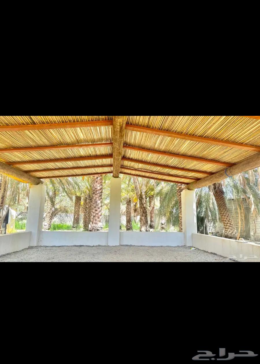 Palm frond reed cutter for sale with delivery to all regions of the Kingdom64002617288961112