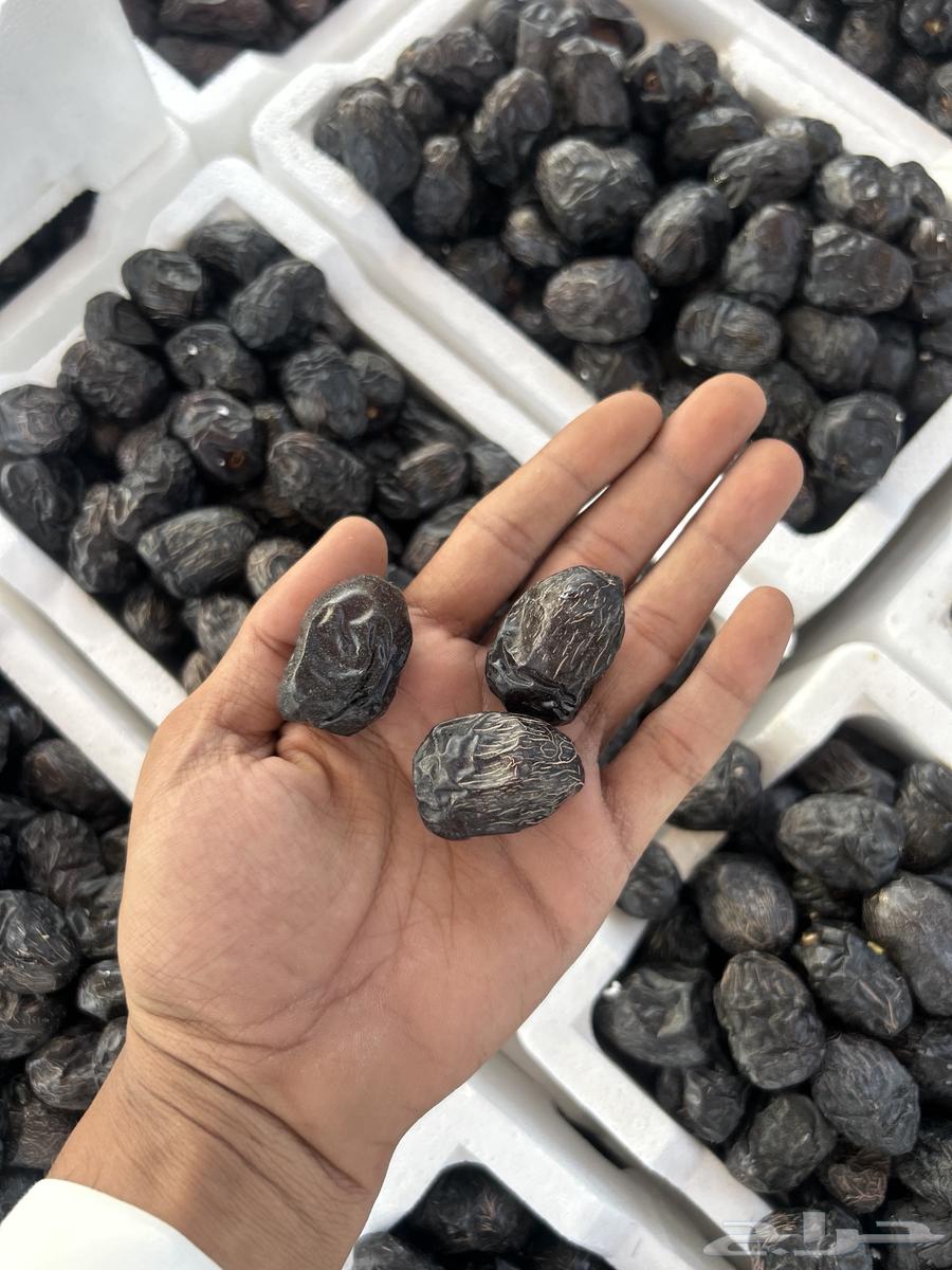 Premium Medjool Dates from our farms in Medina (Delivery to all areas63709654652289111