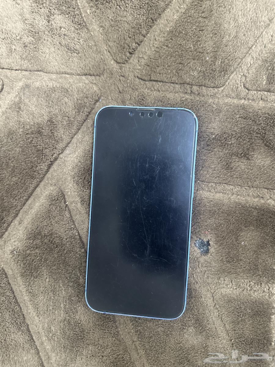 iPhone 13 Regular64010433934081111