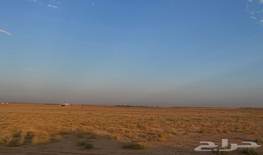 Agricultural land for sale in Al Dahna West, Al Washm, Shaqra63612983624577110