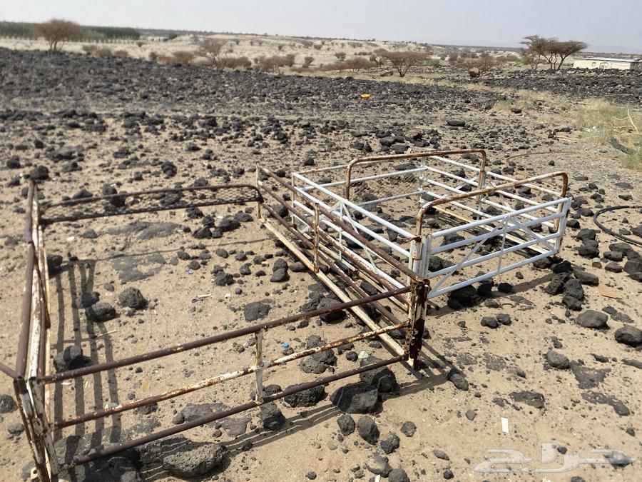 شت هايلوكس وشد شاص64296877856641113