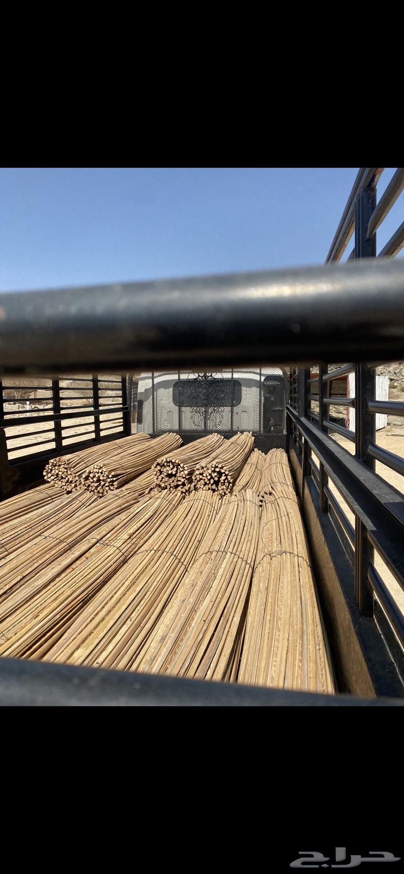 Bales of palm fronds for sale with delivery to all areas64001446215809112