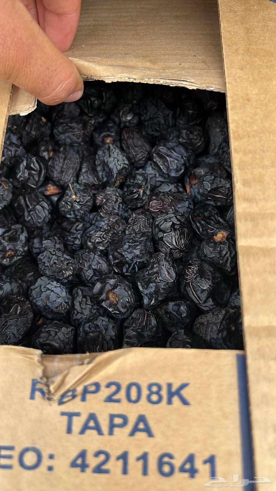 Premium Medjool Dates from our farms in Medina (Delivery to all areas63709654652289110