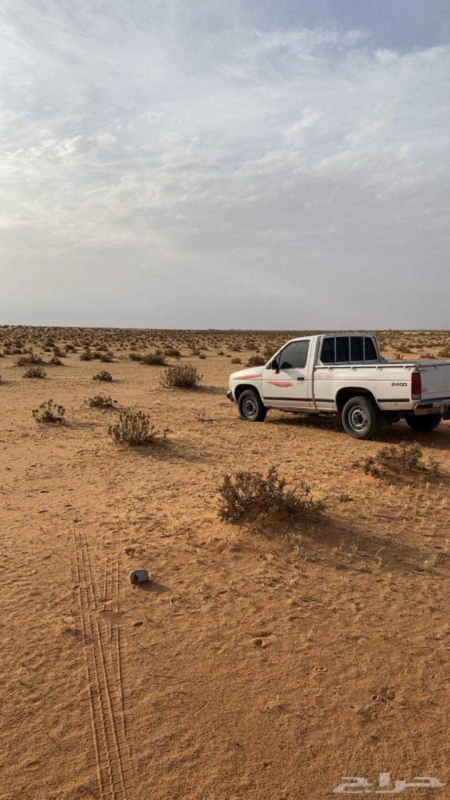 ددسن 1997 ممشى 500. محركاتهازينه وبديها سليم من الحوادث64310974611969110