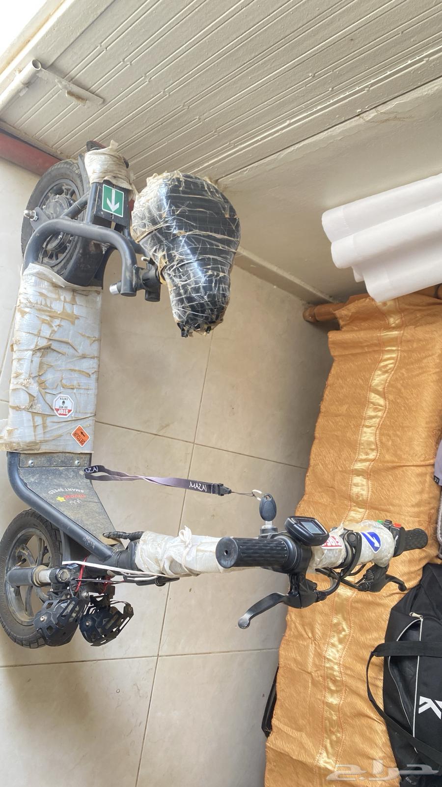 Basket scooter for sale64026346467459113