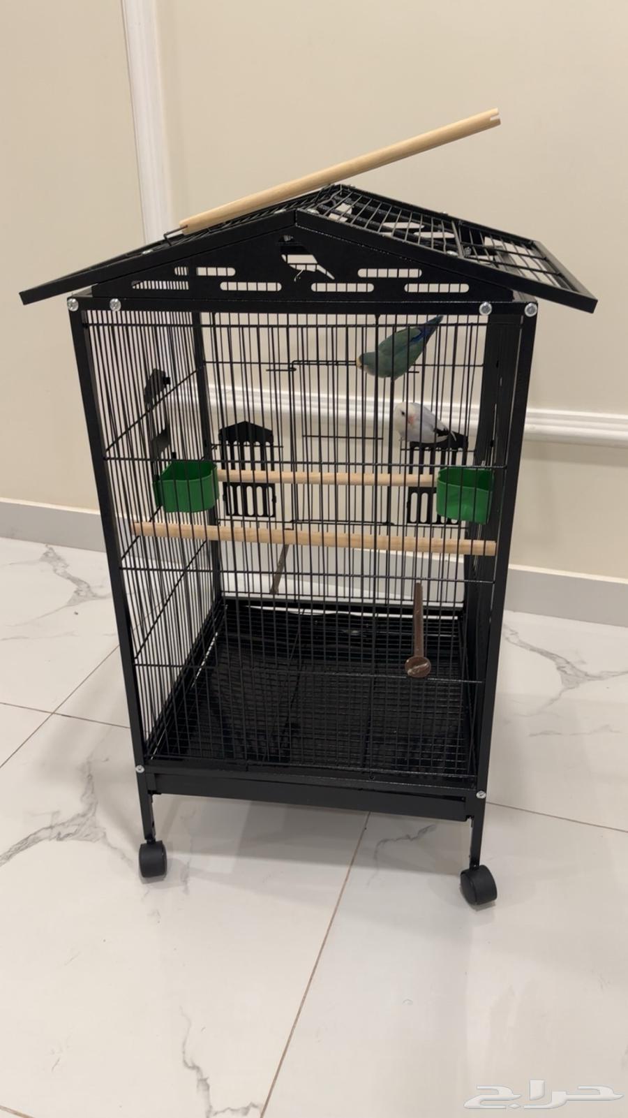 Large almost new bird cage64031671077889110