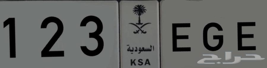 Distinctive Plate Sequential Lock64306143578115111