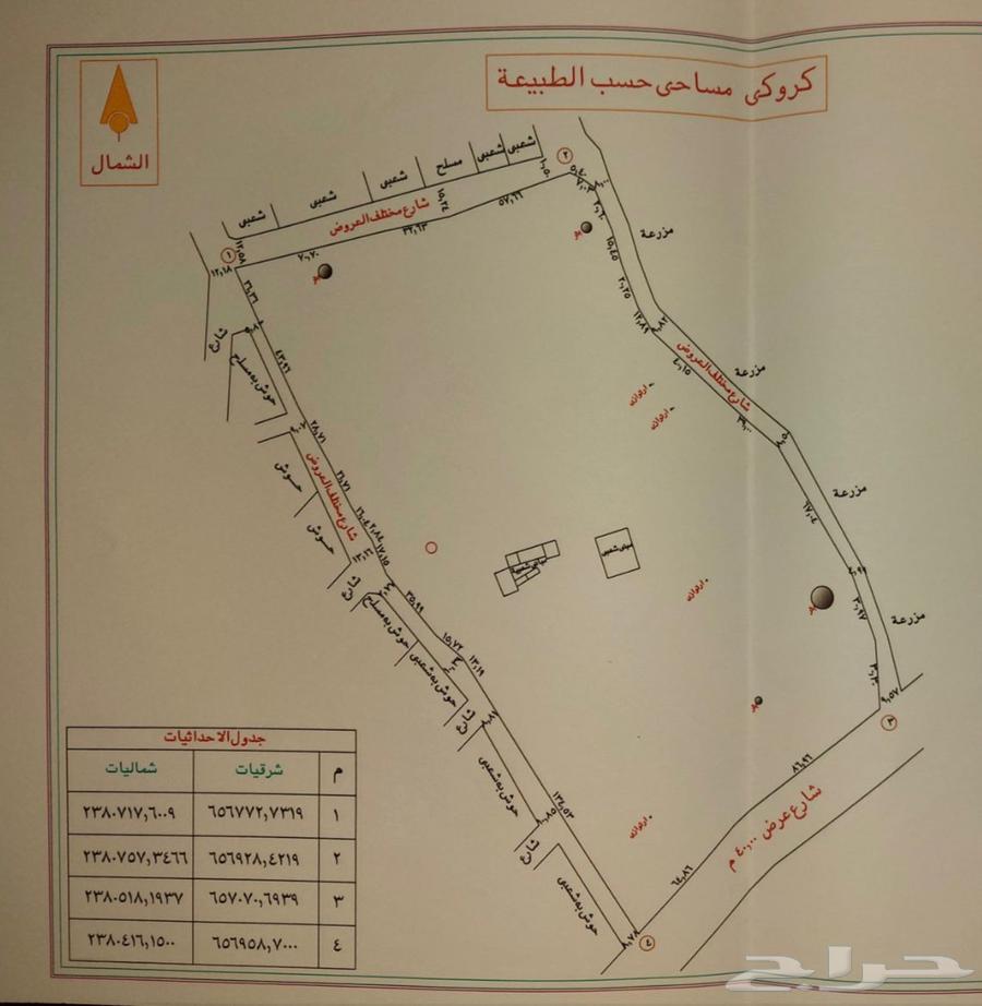 Land for rent in Taif, area 51 thousand on a commercial street63612988029826111