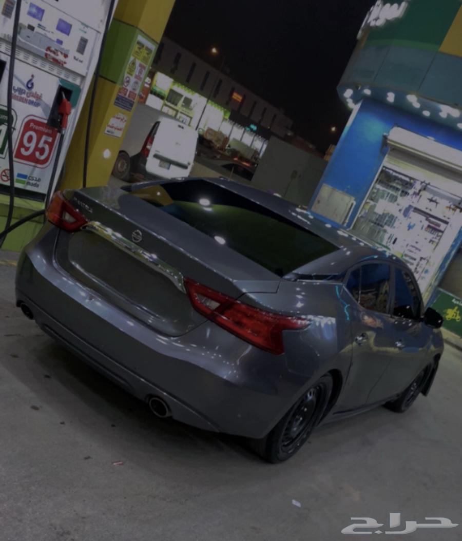 Maxima 2017 with modified hood and sprayed front fenders64305644679171111