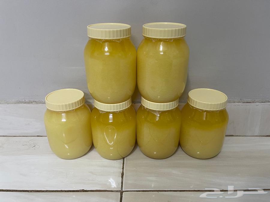Wild sheep ghee64021346573569110