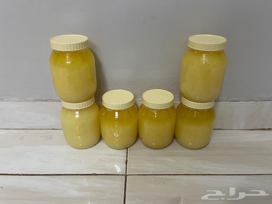 Wild sheep ghee64021346573569111
