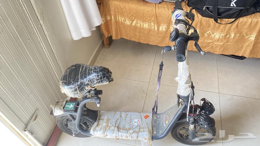 Basket scooter for sale64026346467459112