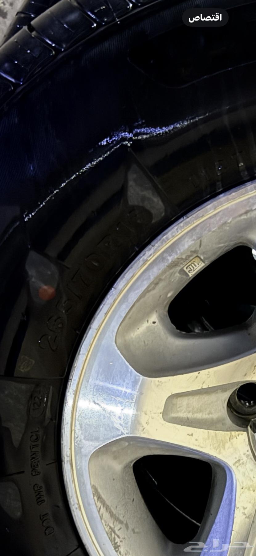 جنوط ربع وشاص رفرف64305076655489114