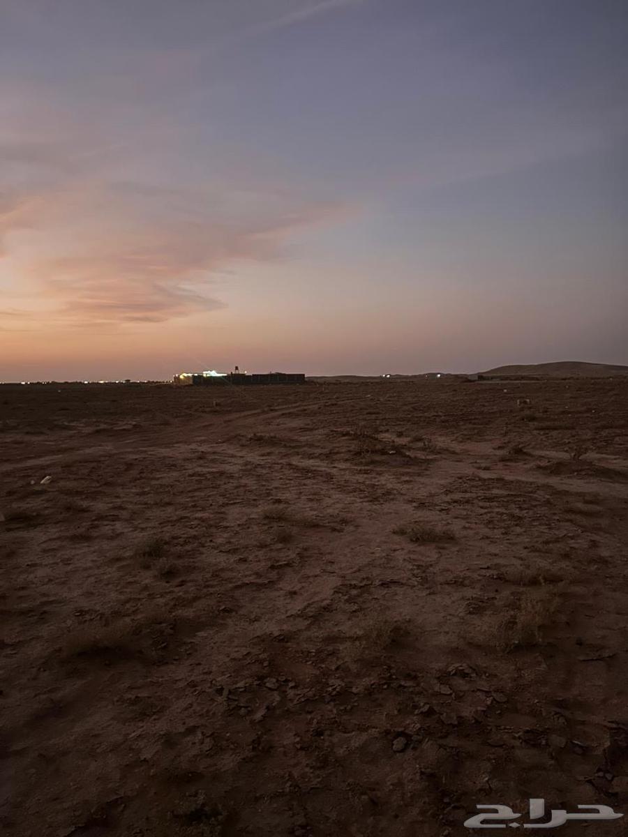 ارض للبيع