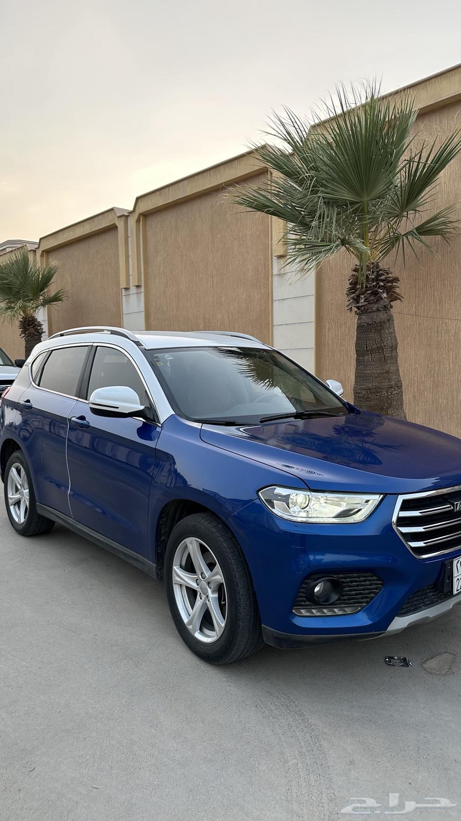 Havel H264324486015233110