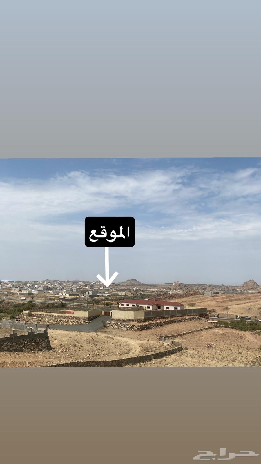 موقع للإستثمار63612996232323110
