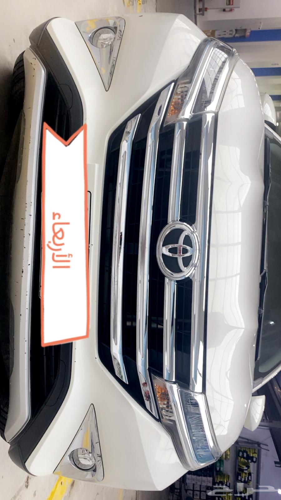 Rash 202264326477355138113