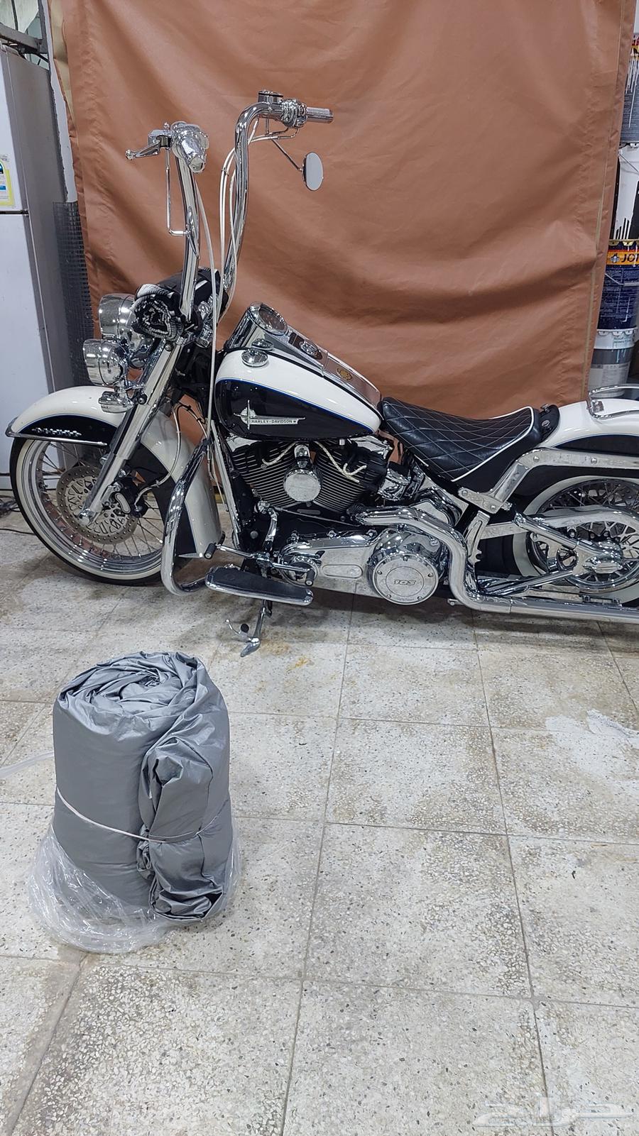 سوفتيل ديلوكس 2013 ستايل تشيكانو64326757923587112