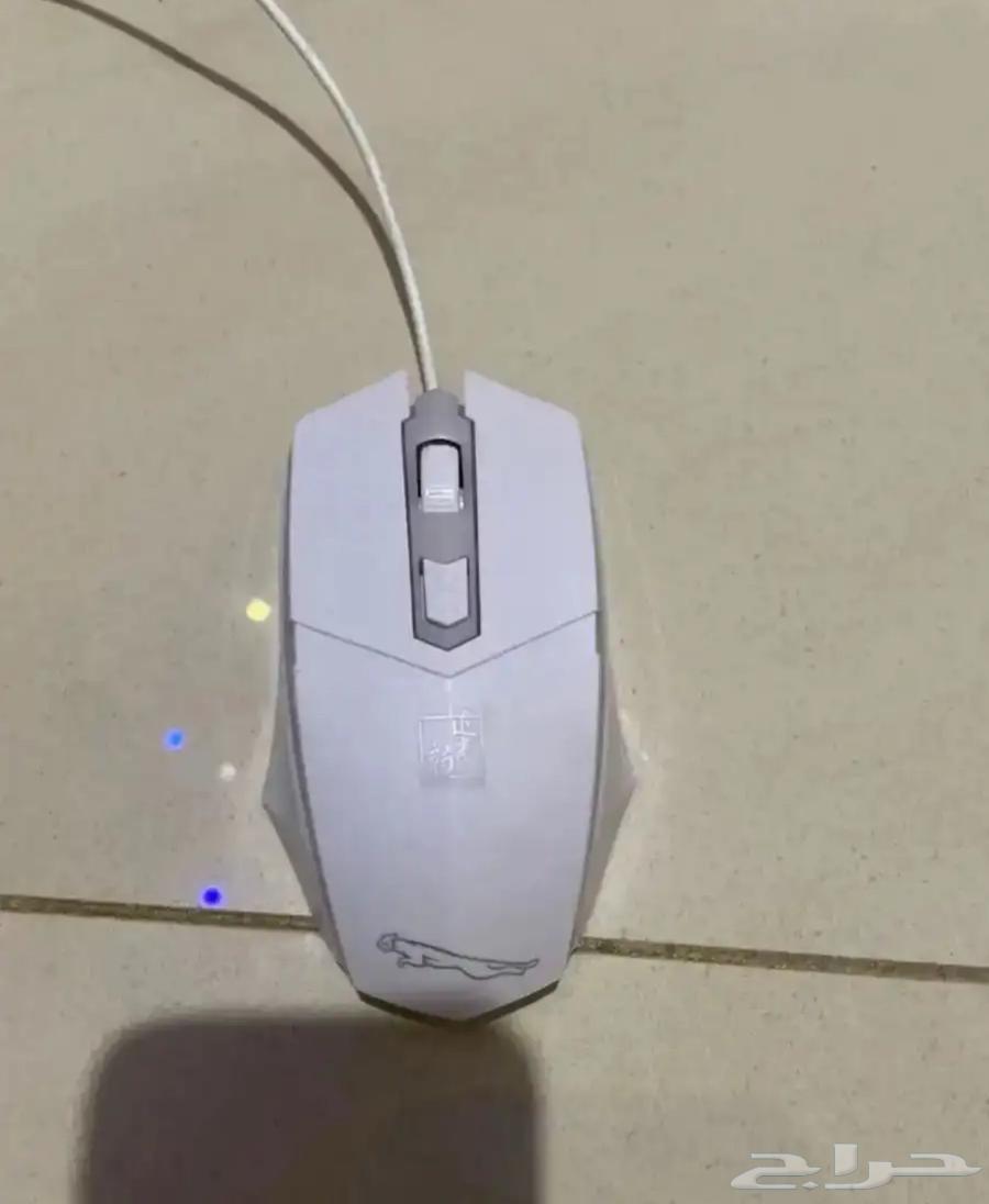 Headset + Mouse + Keyboard64054256035841113