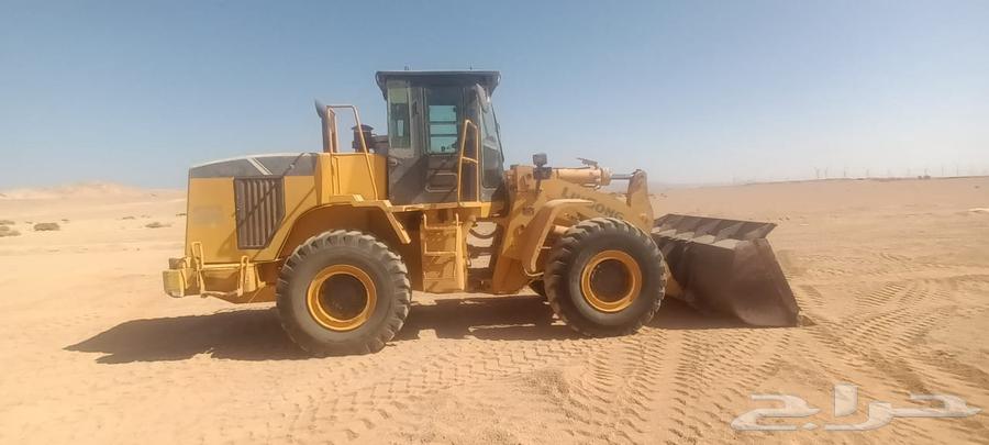 شيولات لونق للبيع64318634558595111