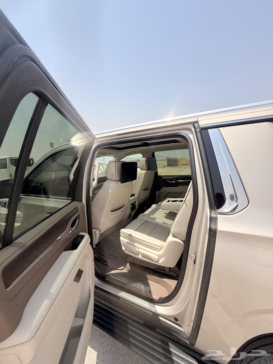 دينالي 2022 فل كامل وكالة مخزن64319587195010113