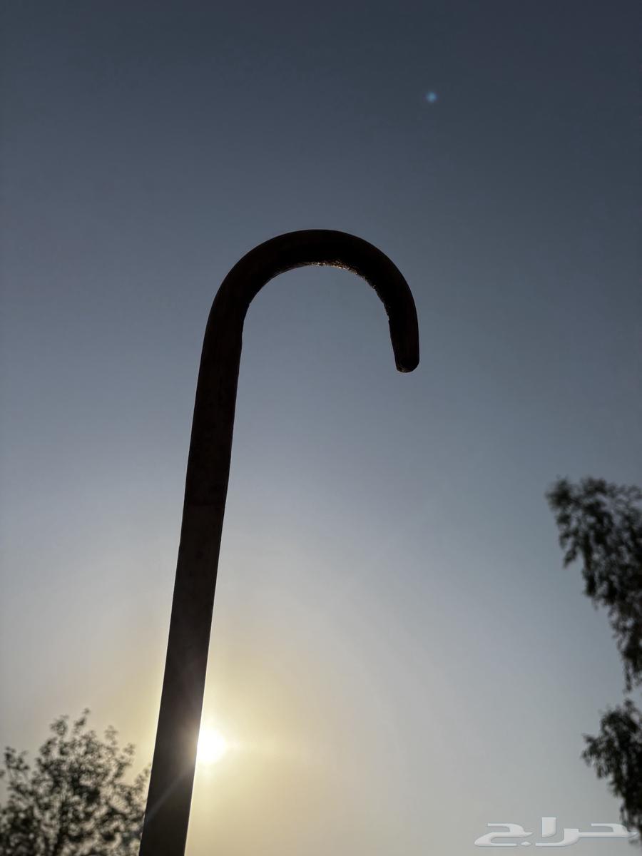 Heritage cane64041792888962114