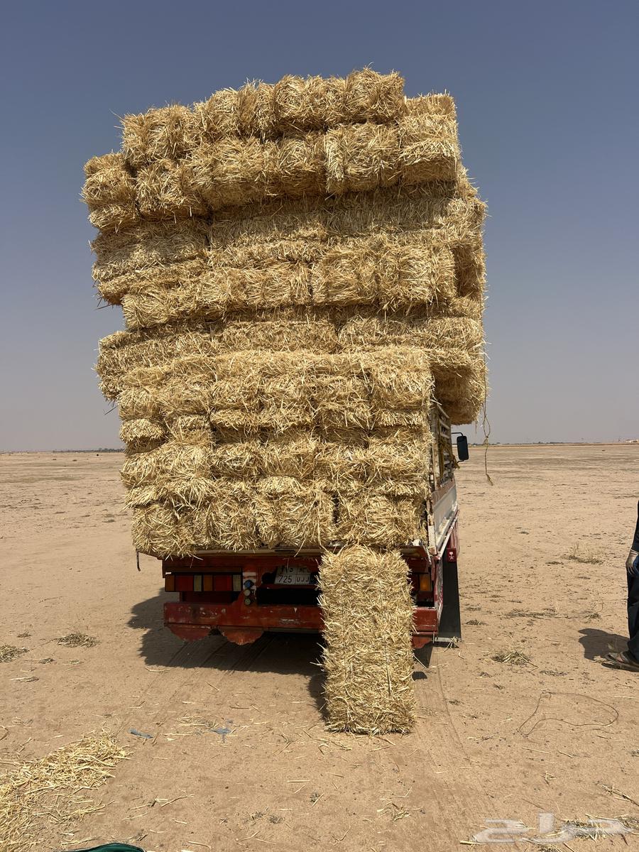 Rice bran fine powder64047301549441110